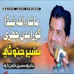 Mashallah Teda Gora Badan