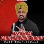 Mera Haal Paaglan Wang Kurhe