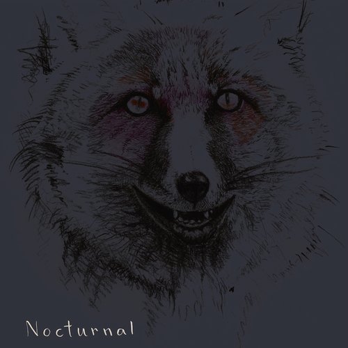 Nocturnal_poster_image