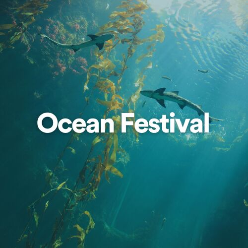 Ocean Festival_poster_image