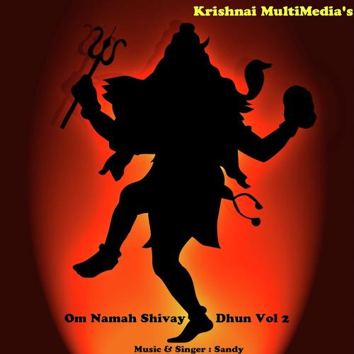 Om Namah Shivay Dhun Vol.2