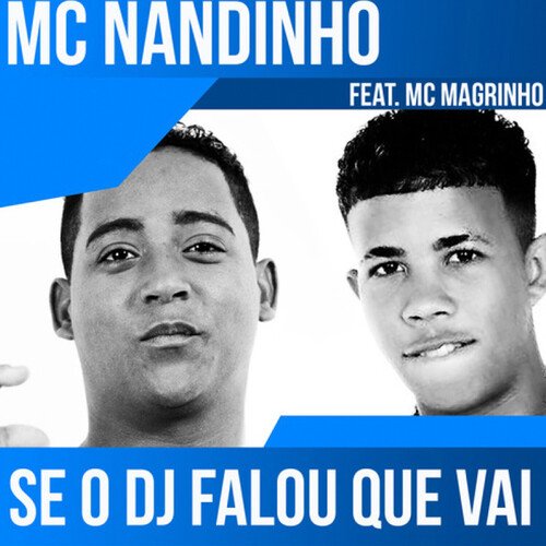 Se o Dj Falou Que Vai_poster_image