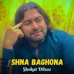 Har Sok Matlab Na Lari