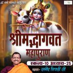 Shrimad Bhagvat Mahapuraan Skandh 10 - Part 25