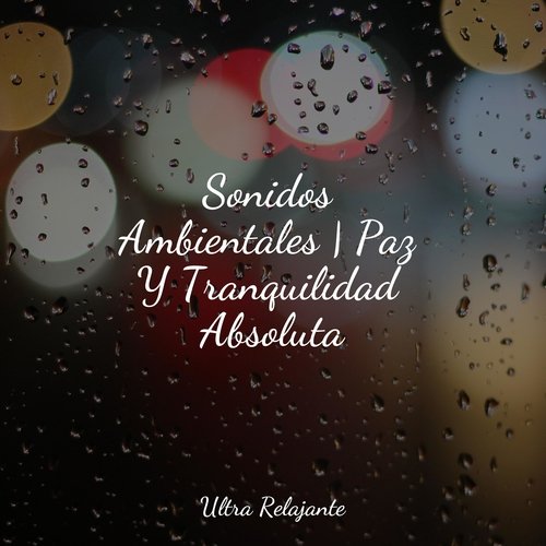 Sonidos Ambientales | Paz Y Tranquilidad Absoluta