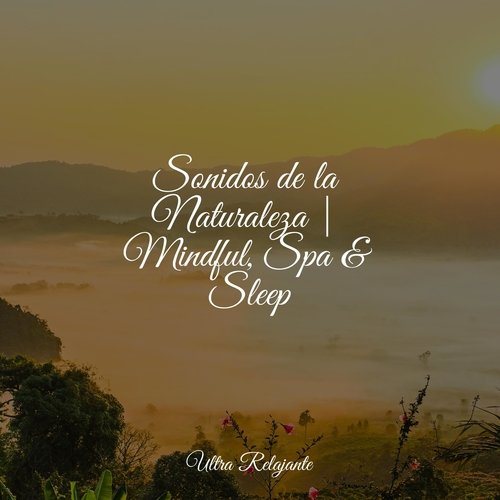 Boutique De Puestas De Sol cover art