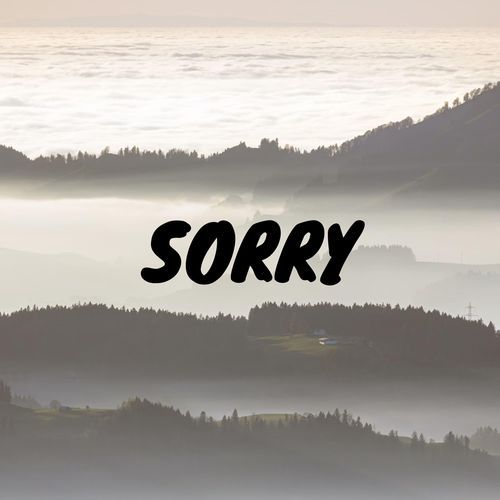 Sorry_poster_image