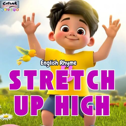 Stretch Up High