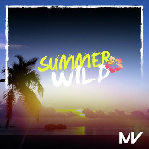 Summer Wild_poster_image