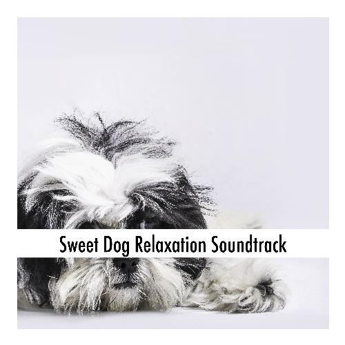 Dog Moments cover art