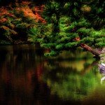 South Asia (Vocal Remix)