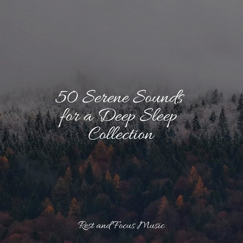 50 Serene Sounds for a Deep Sleep Collection