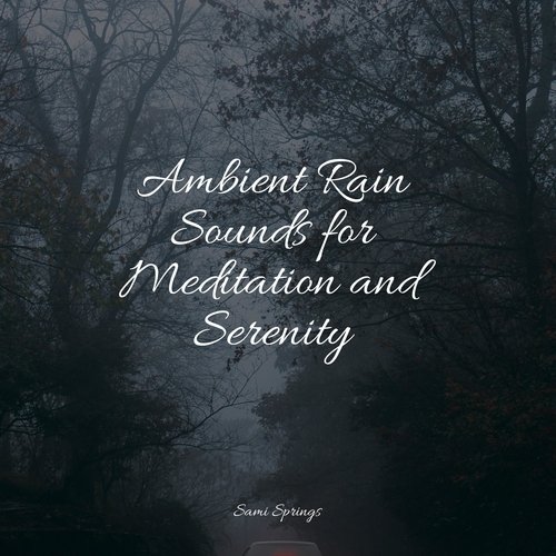 Ambient Rain Sounds for Meditation and Serenity_poster_image