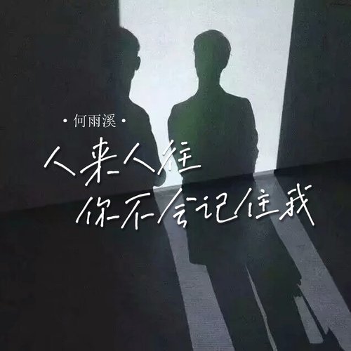 人来人往你不会记住我_poster_image