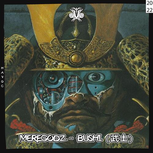 Bushi cover art