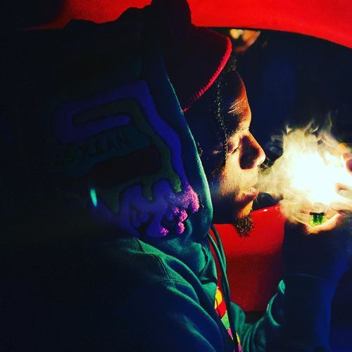 In the coop cover art