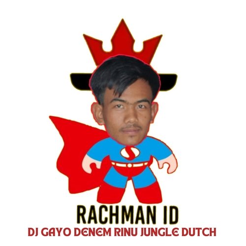 DJ GAYO DENEM RINU JUNGLE DUTCH cover art