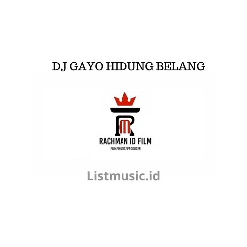 DJ GAYO HIDUNG BELANG cover art