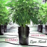 Eigen Kweek (feat. Freddie King)