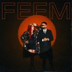 FEEM artwork
