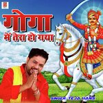 Goga Mai Tera Ho Gaya