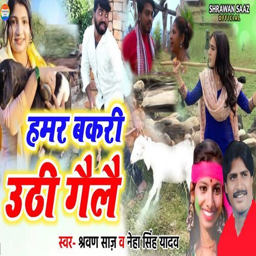 Hamar Bakari Uthi Gailai