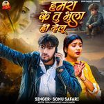 Hamara Ke Tu Bhula Hi Delu