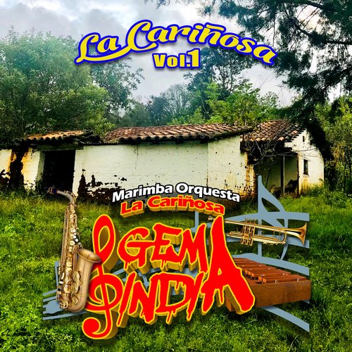 Bodas de Plata cover art