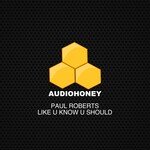 Like U Know U Should (Extended Mix)