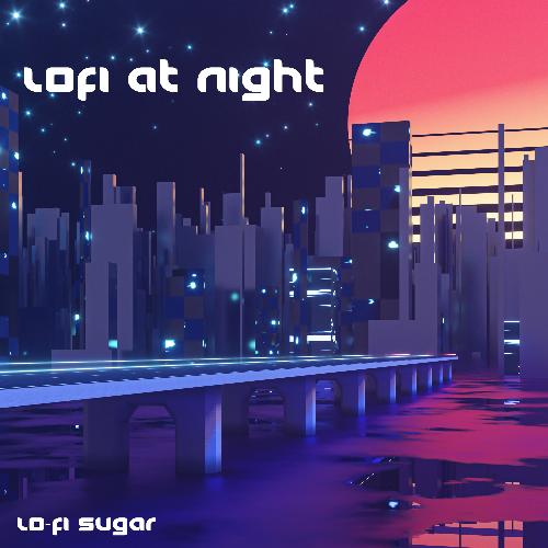 Lofi at Night_poster_image