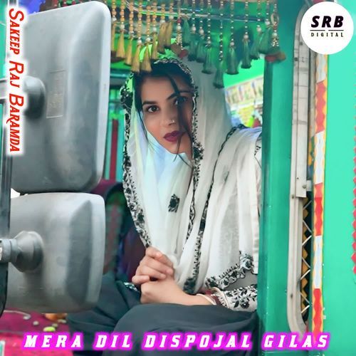 MERA DIL DISPOJAL GILAS