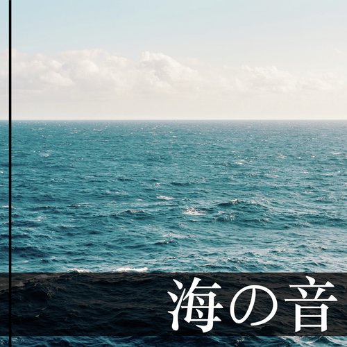 海の音 ・ 沖縄の海とカモメと波の音