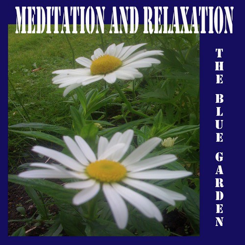 Meditation and Relaxation_poster_image