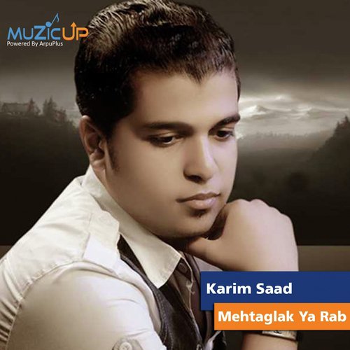 Mehtaglak Ya Rab cover art