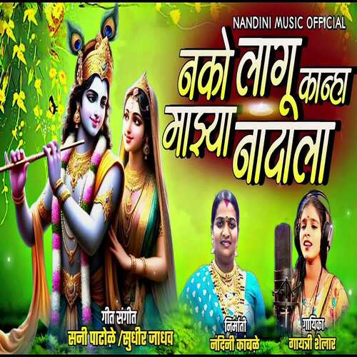 Nako Lagu Kanha Majhya Nadala_poster_image