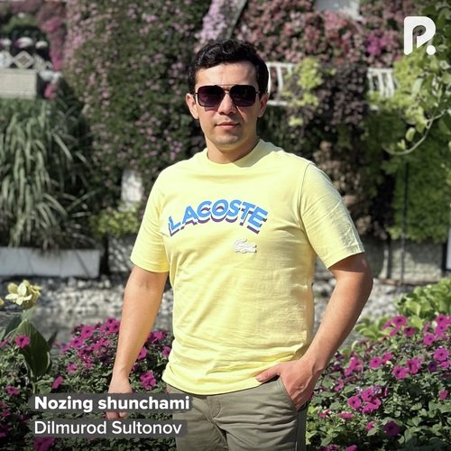 Nozing shunchami cover art