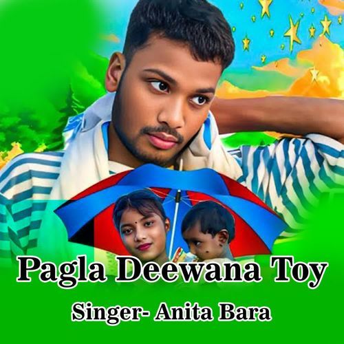 Pagla Deewana Toy