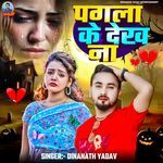 Pagla Ke Dekh Na