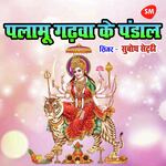 Palamu Gadhwa Ke Pandal