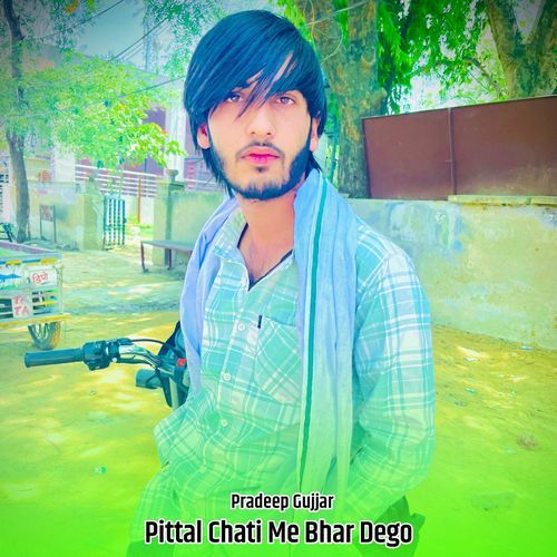 Pittal Chati Me Bhar Dego
