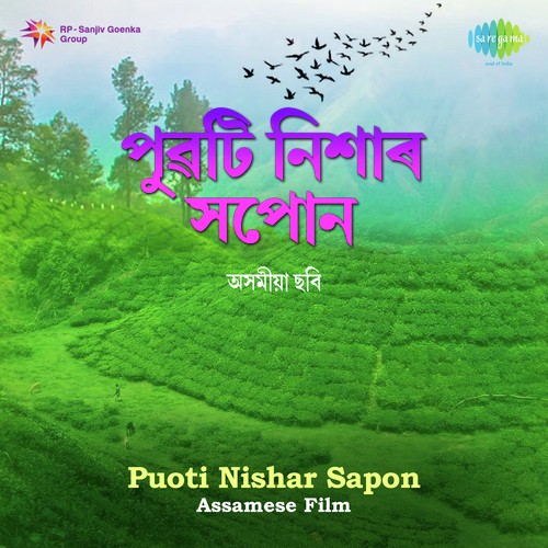 Puoti Nishar Sapon