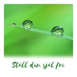 Ställ din själ fri (Ren medvetenhet, Mindful fred, Var förändringen, Meditativ resa, Karmisk frisättning, Rening av mantror)