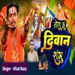 Tera Hu Diwana Shambhu