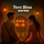 Tere Bina