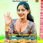 Tere Pyar Me Padke Chhori Gundagardi Sikh Gayo