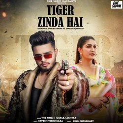 Tiger Zinda Hai-RSYtYwZhUHI