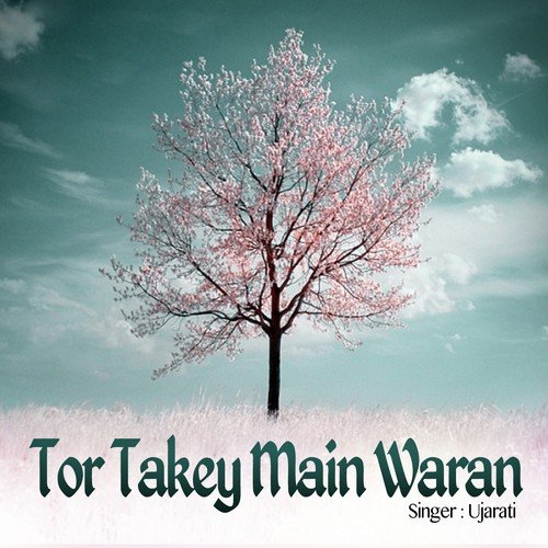 Tor Takey Main Waran