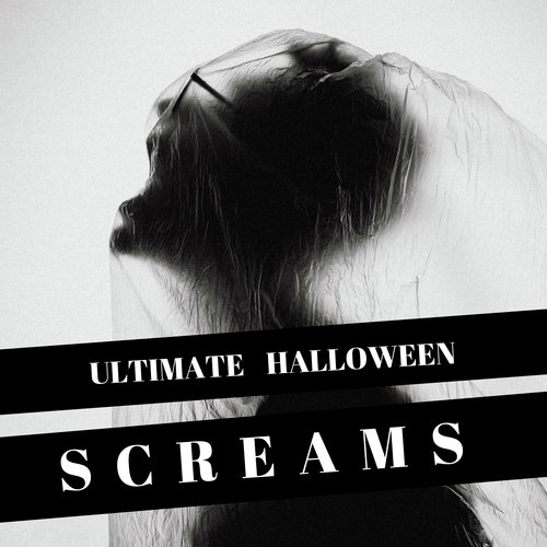 Haunted House cover art