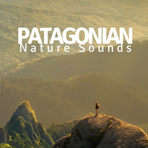 2018 Patagonian Nature Sounds