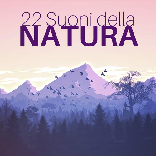 Suoni della Natura cover art